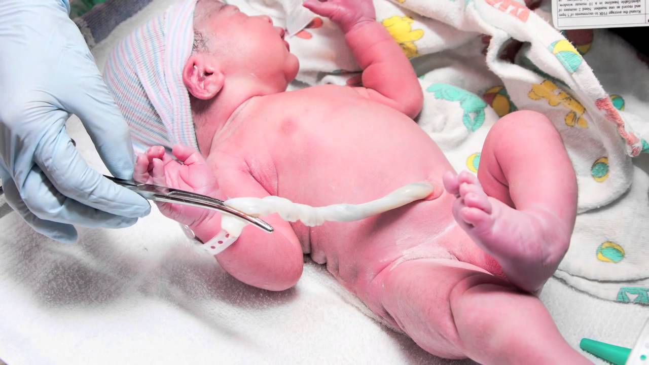 bathing a newborn baby with umbilical cord